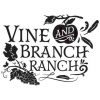 Vine and Branch Logo
